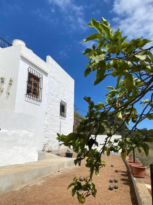 Villa Casa Aya Teror Esterno foto